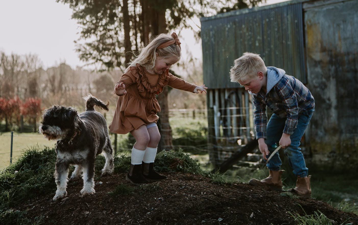Harvey, McKenzie and Pluto playing together outside